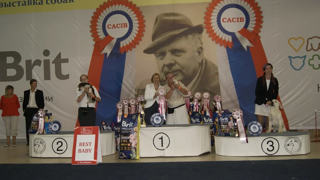 Best Baby 2 дня BIS вне FCI