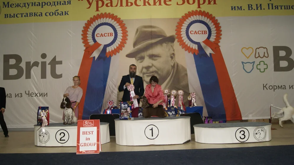 BIG - 8 группы