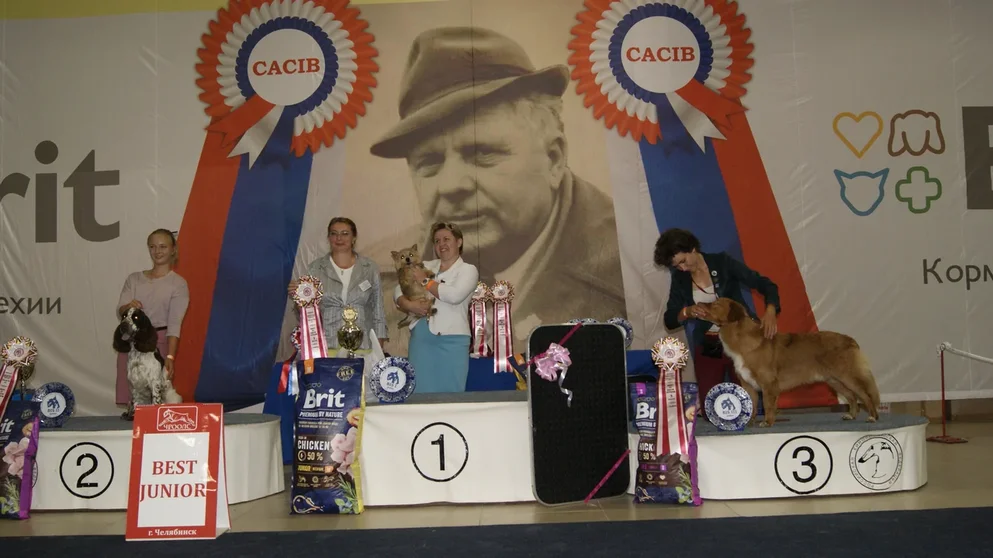 Best Junior 2 дня